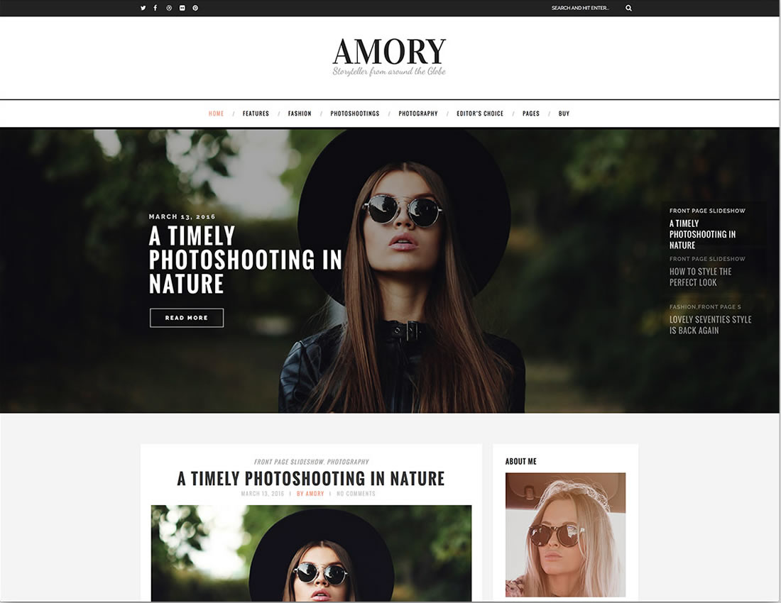 Blog Theme for Wordpress - Amory