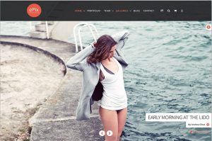 Photography WordPress Theme - ePix .