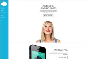 Fully Customizable WordPress Theme - X Theme