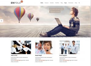 WP Fully Customizable Responsive Theme - Enfold